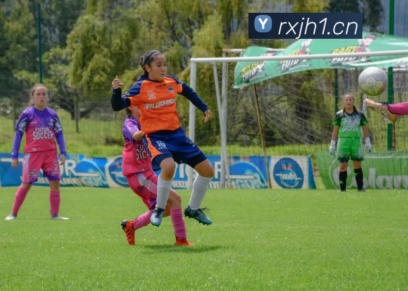 多媒体互动体验